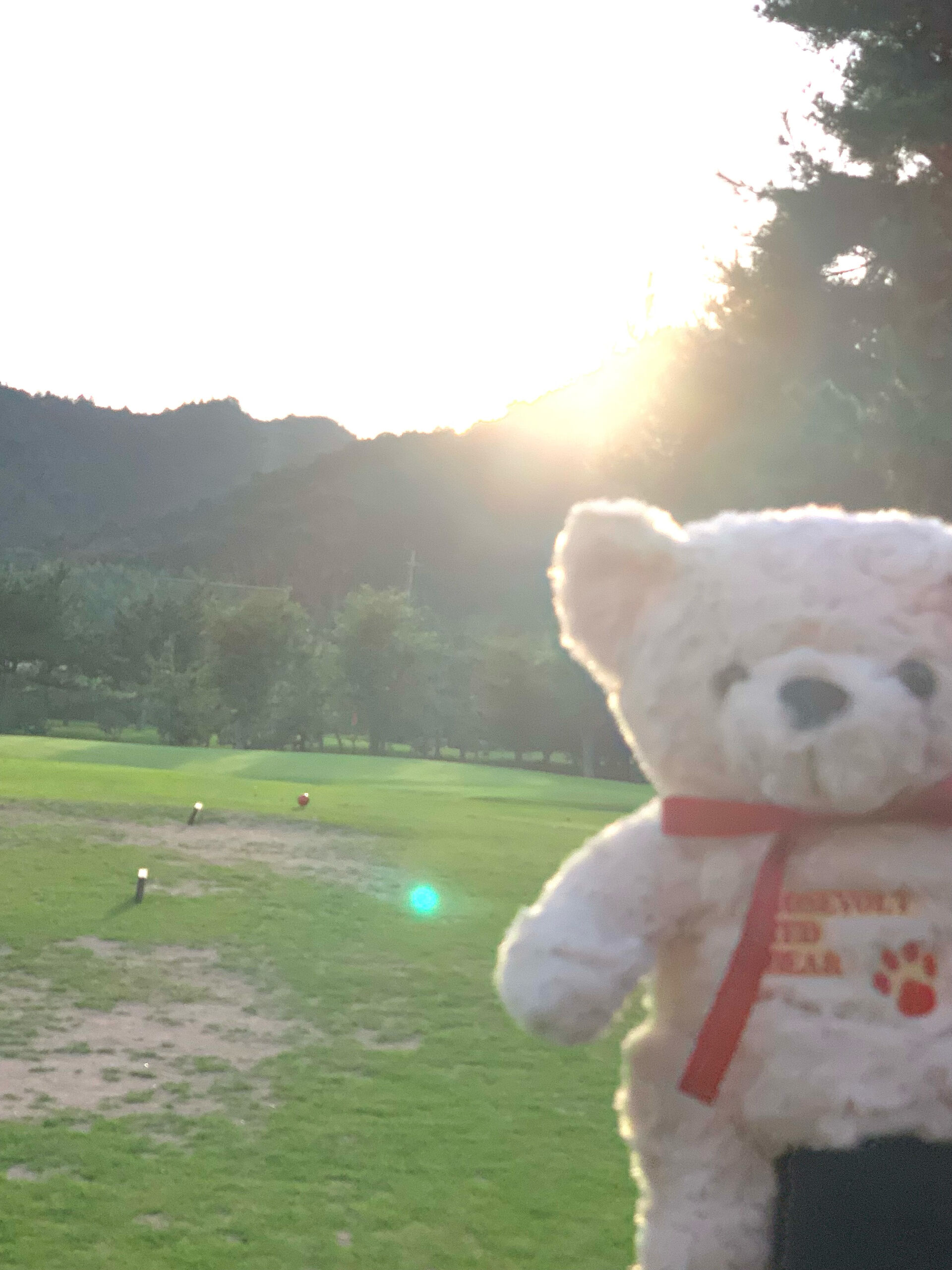 これでも18時15分なんだぜ！